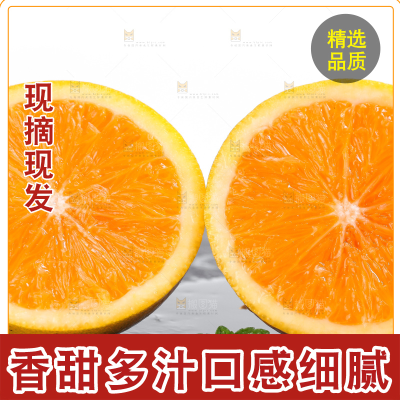 白底上的麻阳冰糖橙