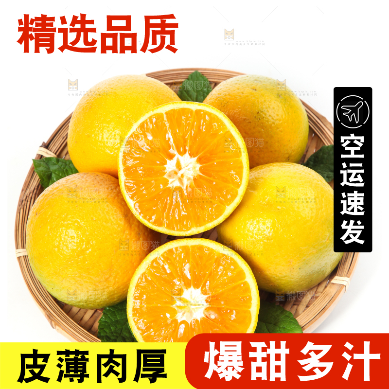 白底上放着的夏橙