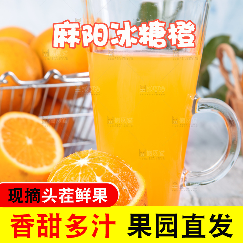 浅底上的麻阳冰糖橙