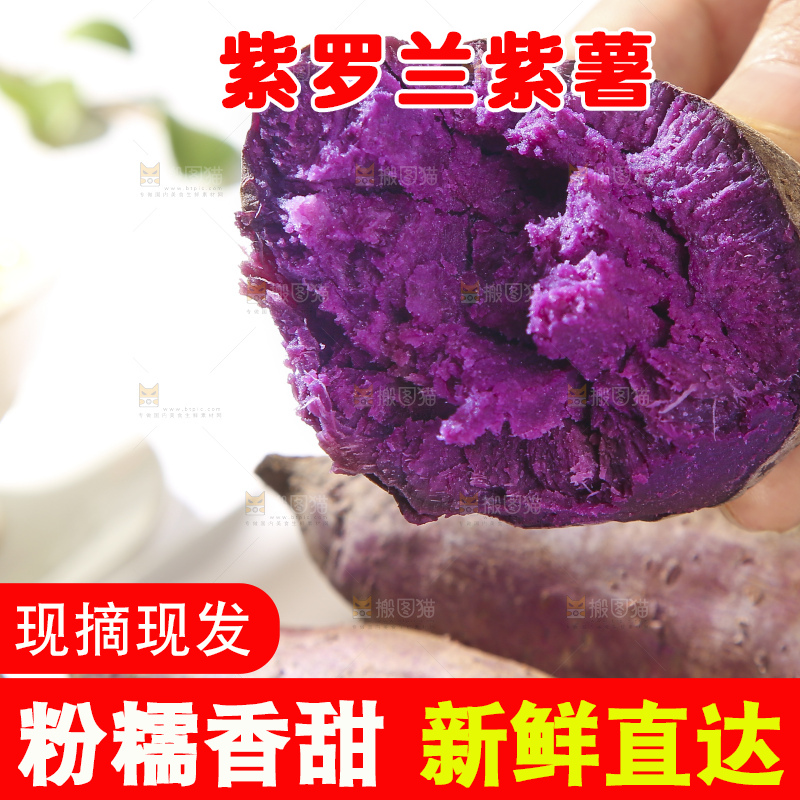 浅底上的板栗紫薯