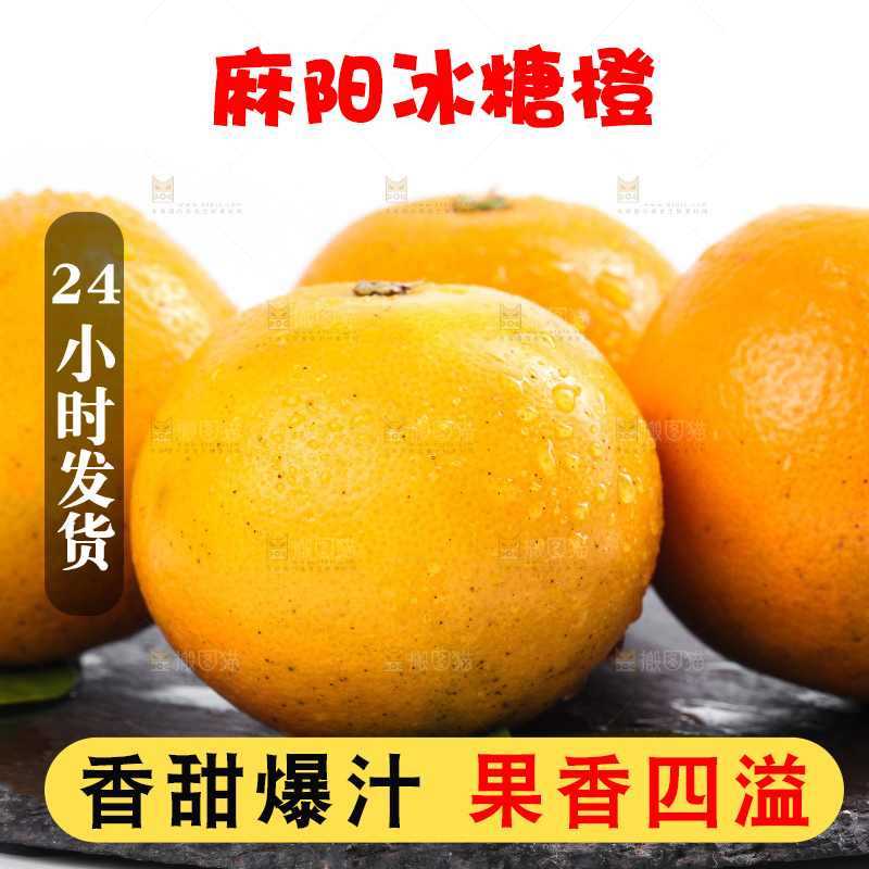 白底上的麻阳冰糖橙