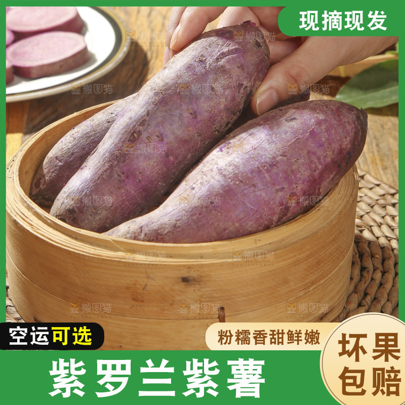 木底上的沙地紫薯