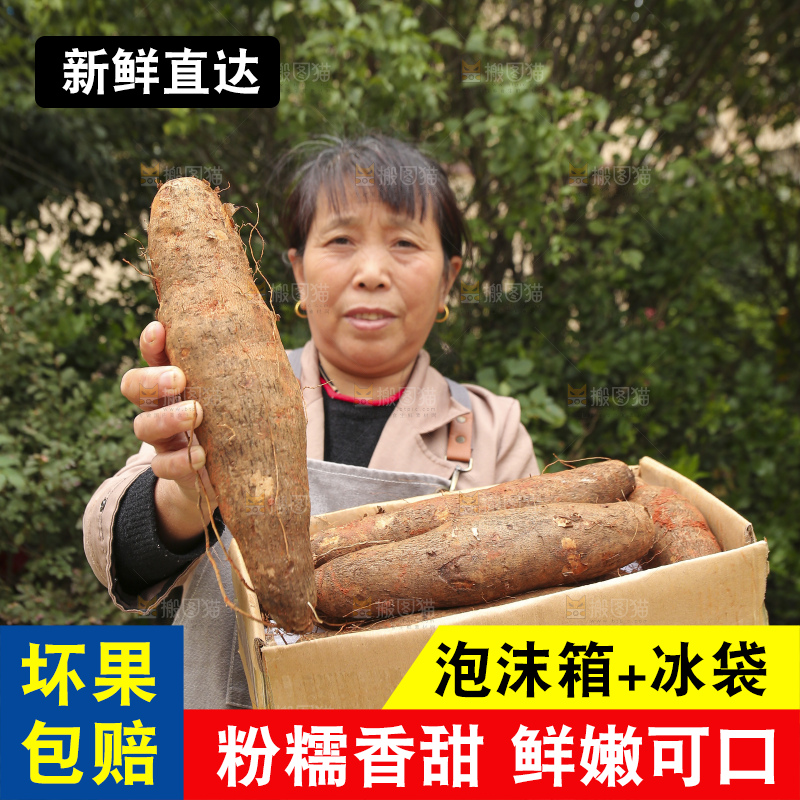 手里拿着灵芝山药
