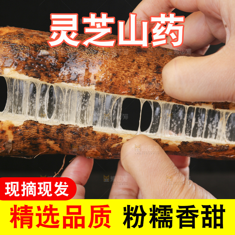 手里拿着拉丝灵芝山药