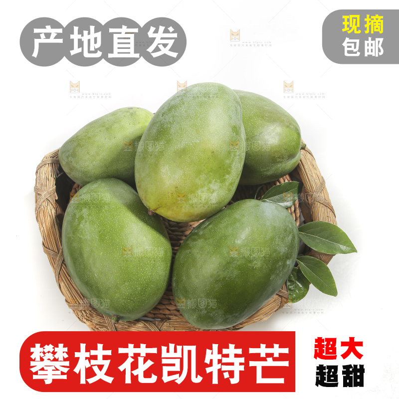 白底上的青皮凯特芒