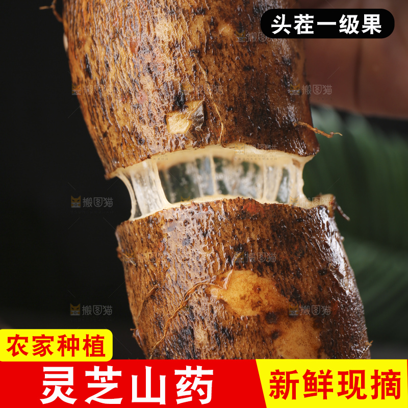 深底上的灵芝山药