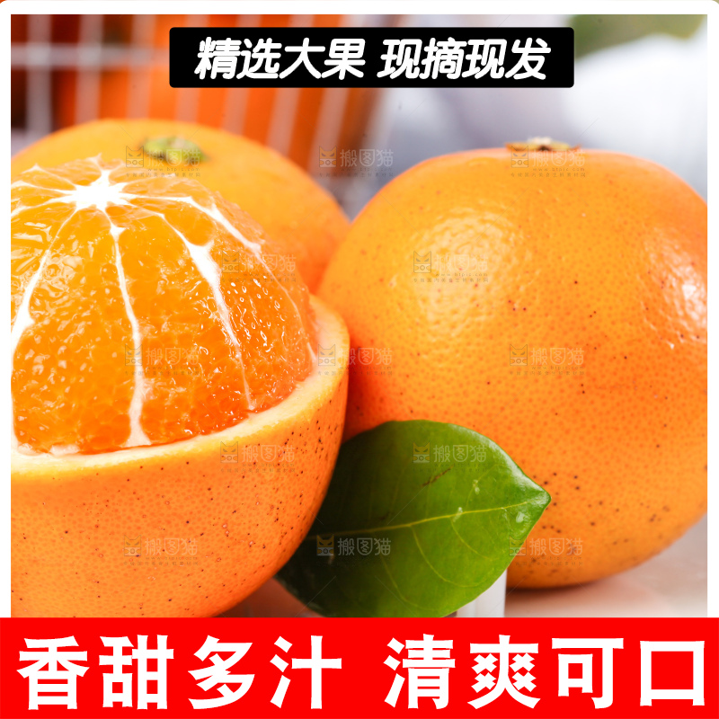浅底上的麻阳冰糖橙