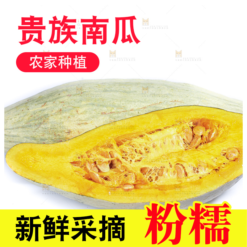 白底上的贵族南瓜