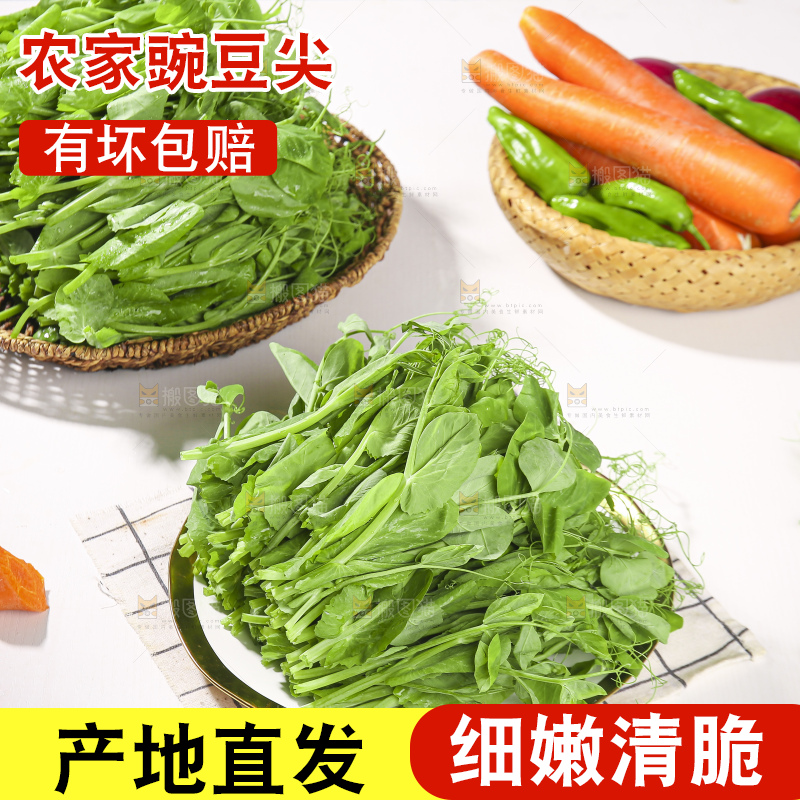 浅底上的豌豆尖