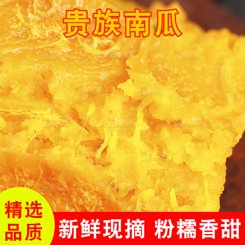 深底上的贵族南瓜