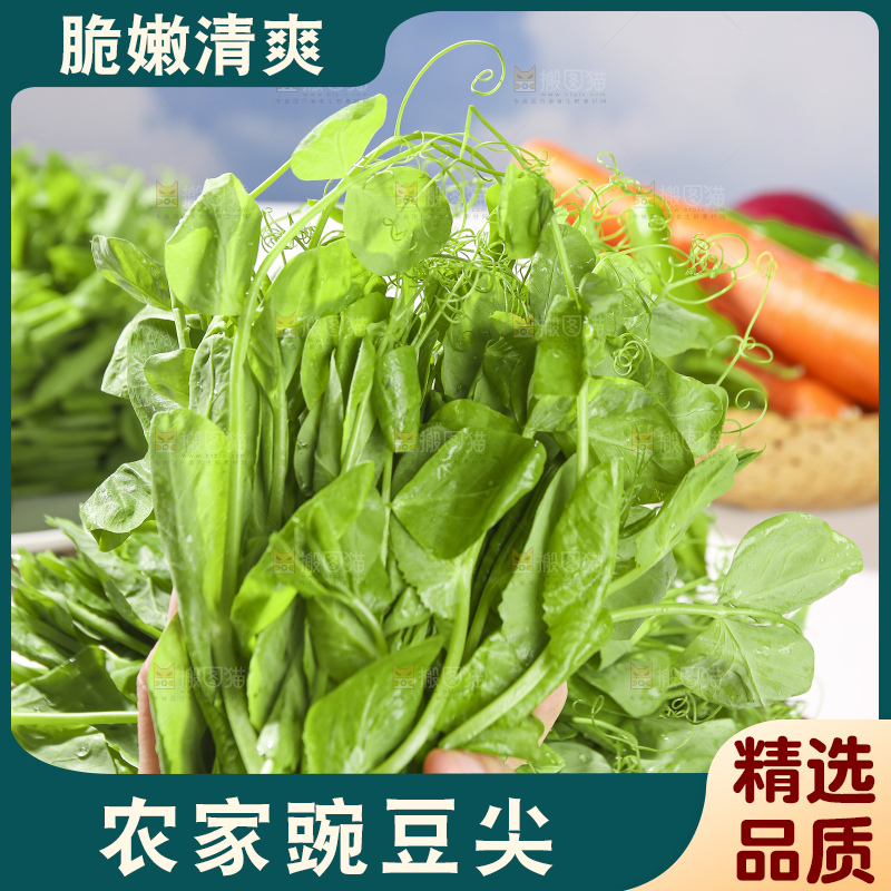 浅底上的豌豆尖