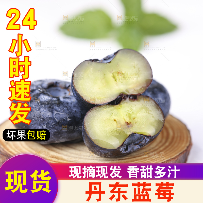 浅底上的新鲜蓝莓