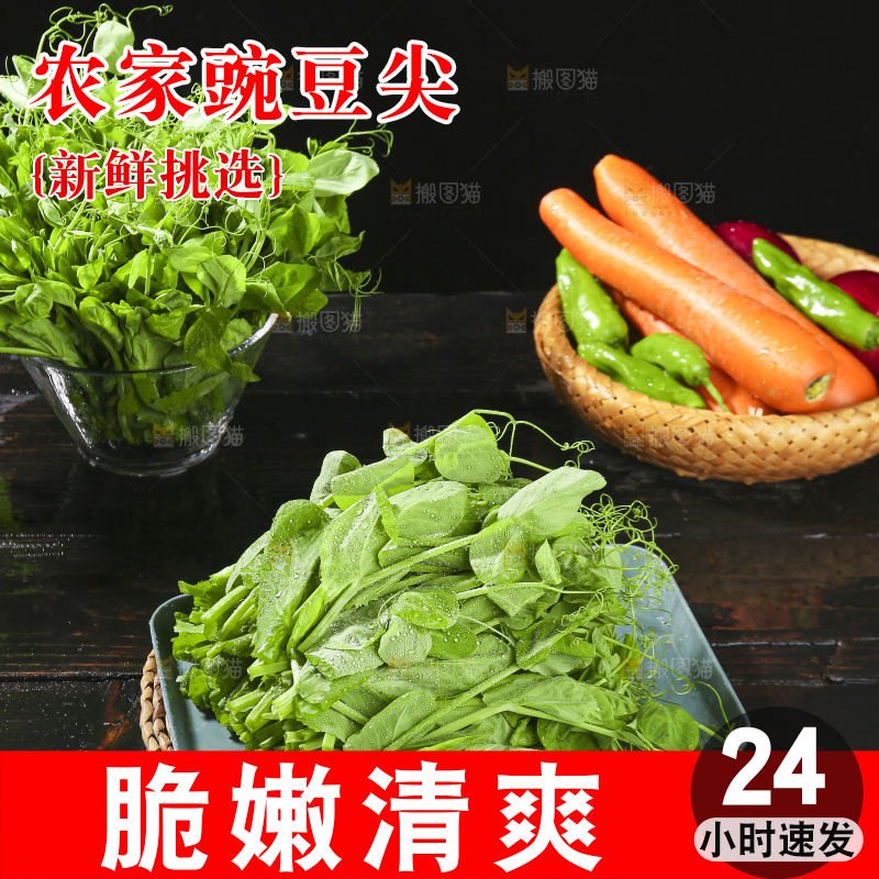 深底上的豌豆苗