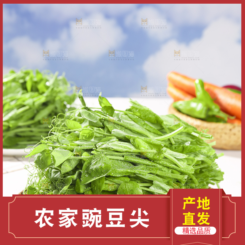浅底上的豌豆尖