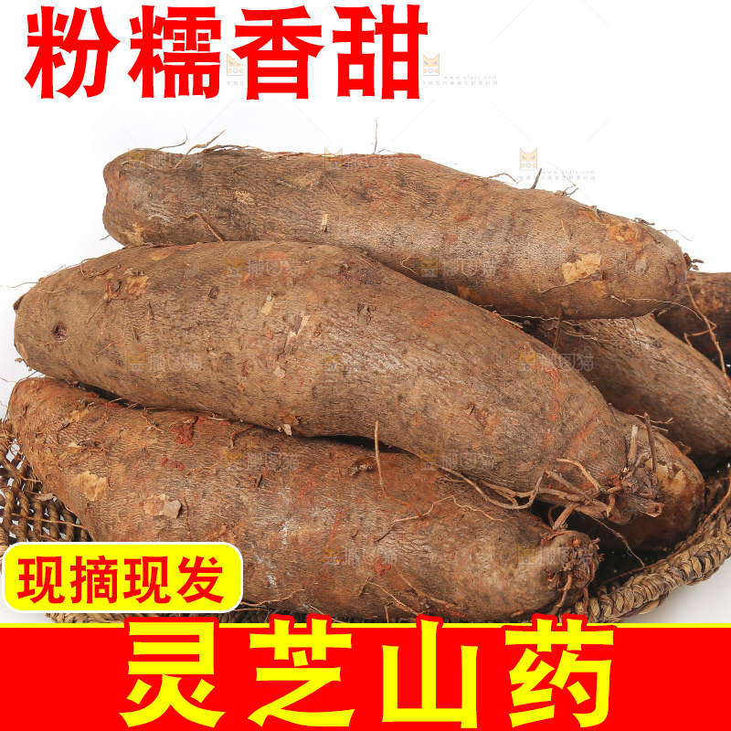 白底上放着灵芝山药