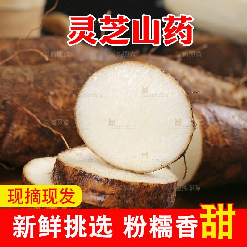 深底上的灵芝山药