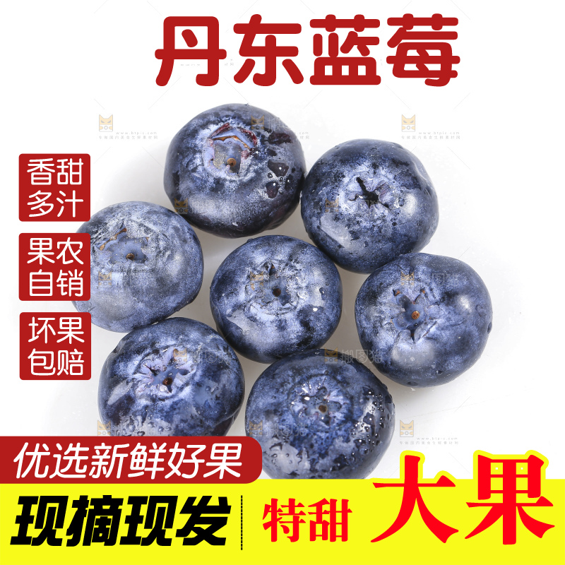 白底上放着的新鲜蓝莓