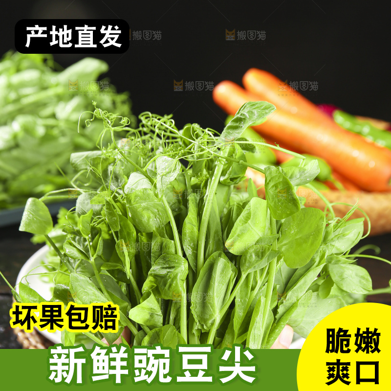 深底上的豌豆苗