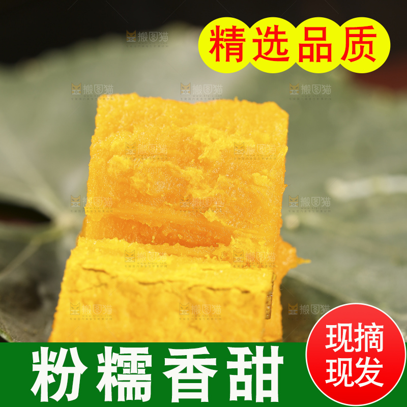 深底上的贵族南瓜