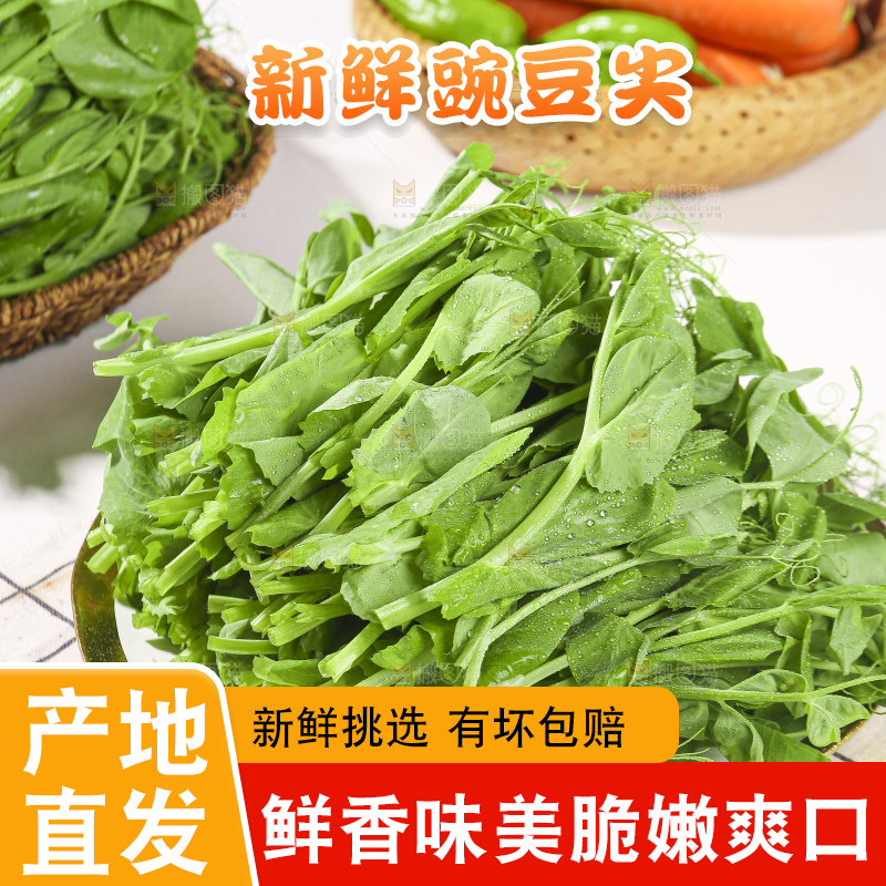 浅底上的豌豆尖