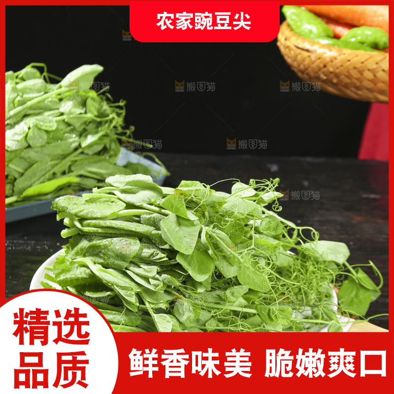深底上的豌豆苗