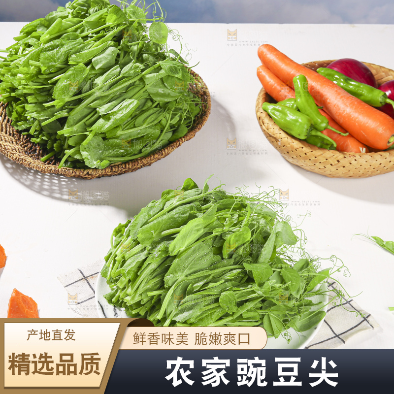 浅底上的豌豆尖