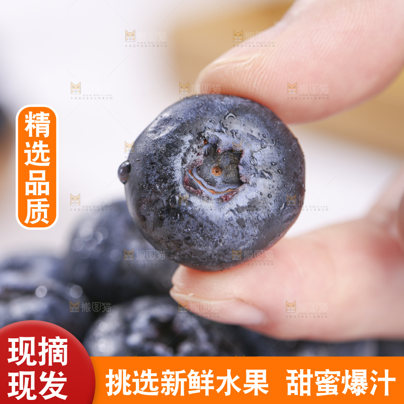 浅底上的新鲜蓝莓