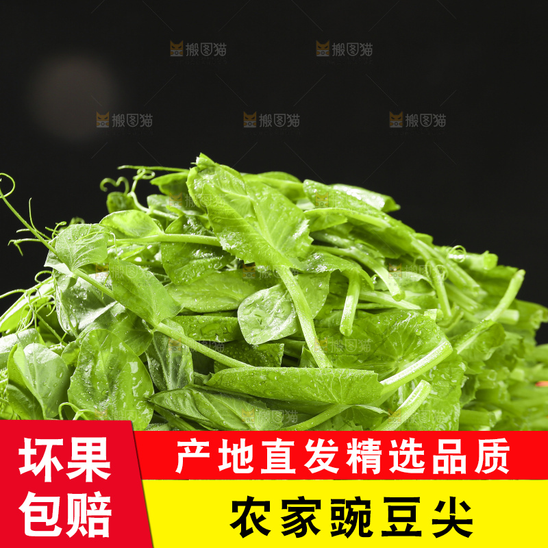 深底上的豌豆苗