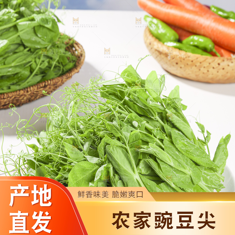 浅底上的豌豆尖