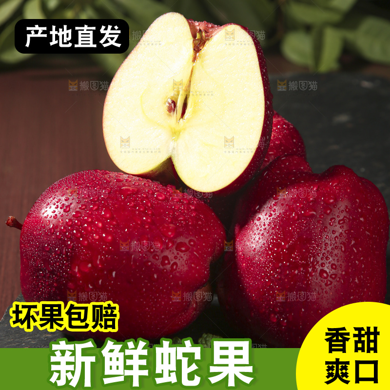 木底上的甘肃花牛苹果