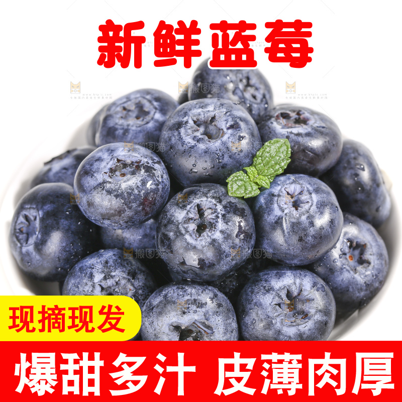 白底上放着的新鲜蓝莓