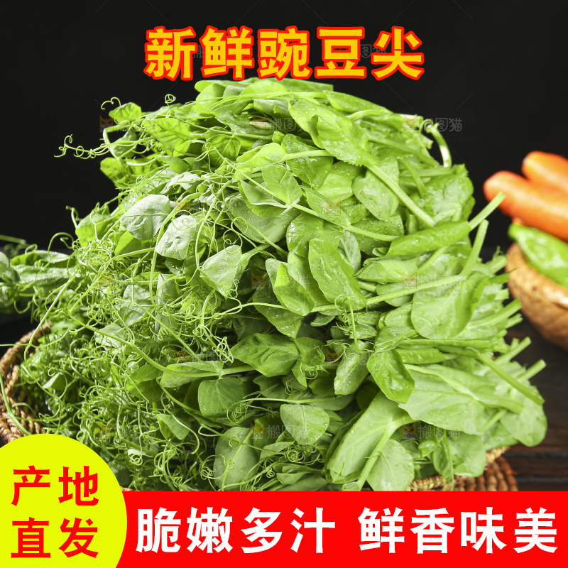 深底上的豌豆苗