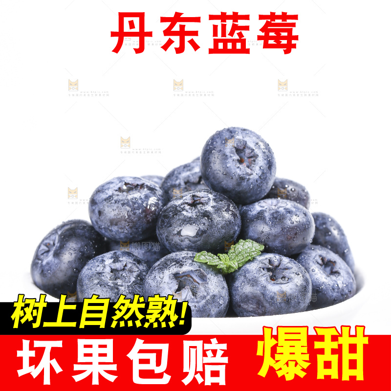白底上放着的新鲜蓝莓