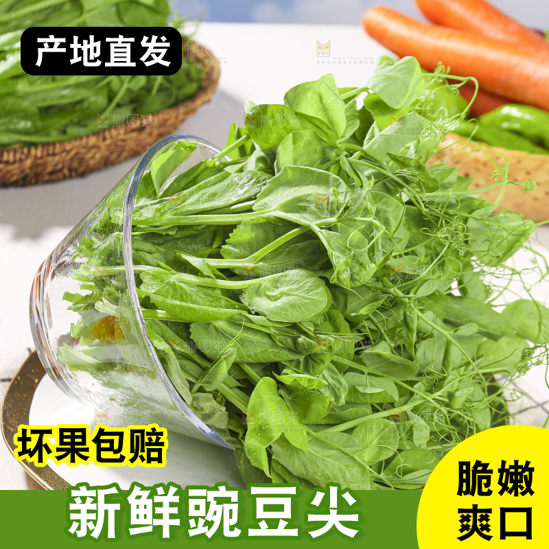 浅底上的豌豆尖