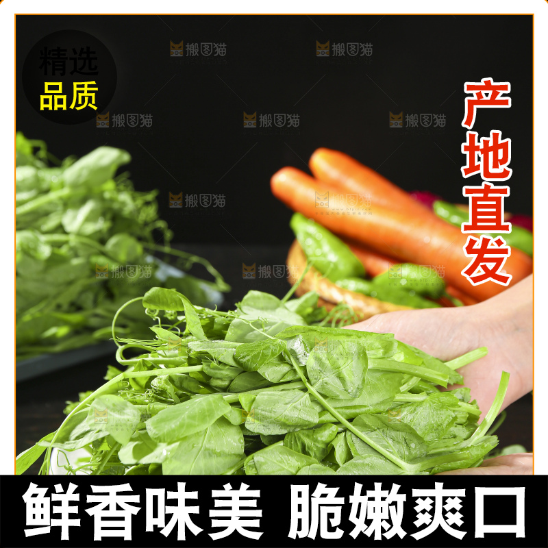 深底上的豌豆苗