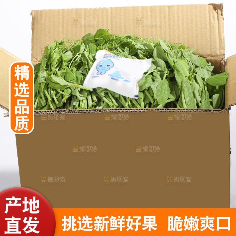 白底上的新鲜豌豆尖