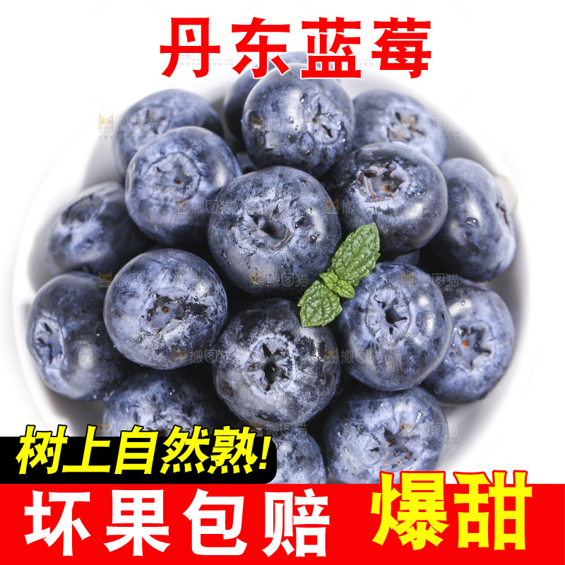 白底上放着的新鲜蓝莓