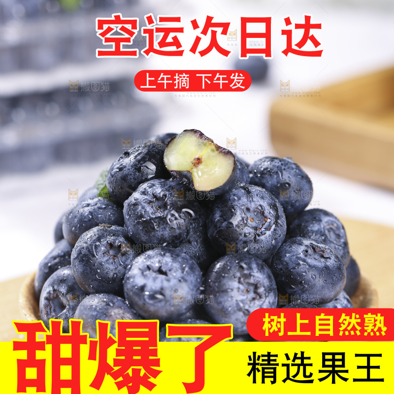 浅底上的新鲜蓝莓
