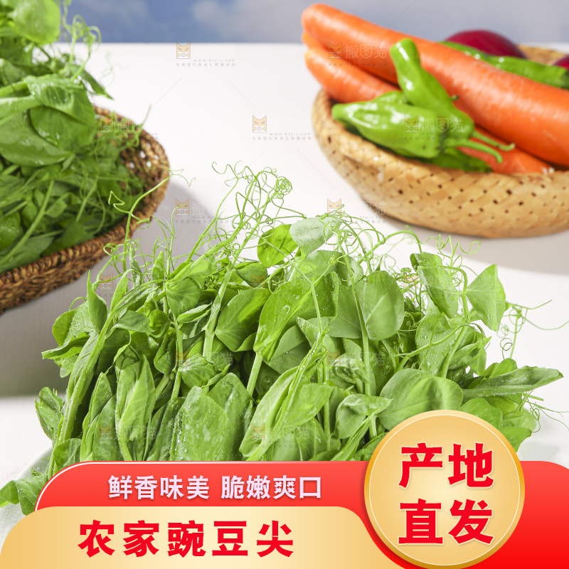浅底上的豌豆尖
