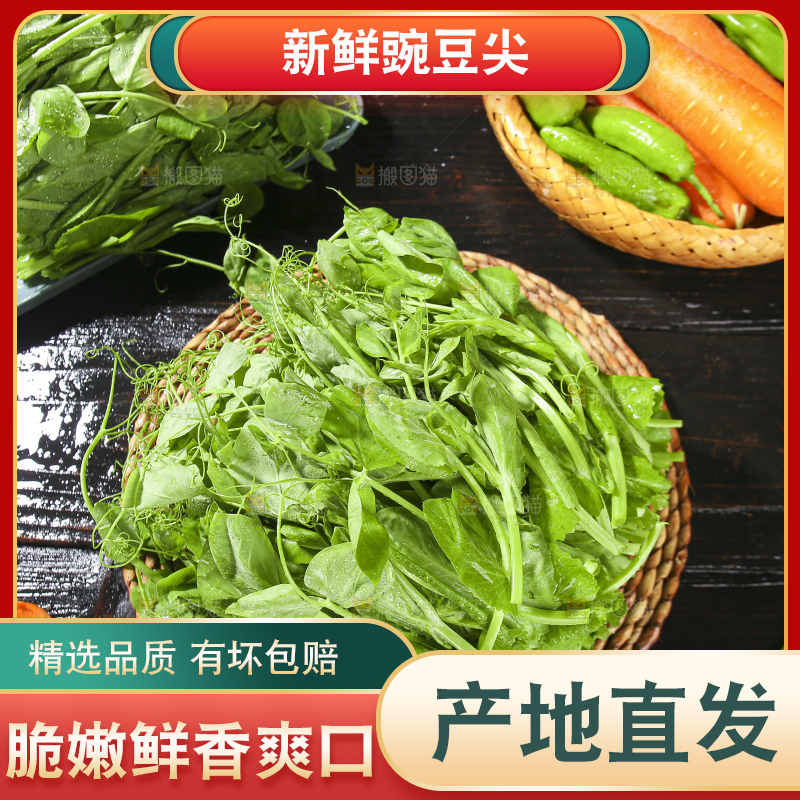 深底上的豌豆苗