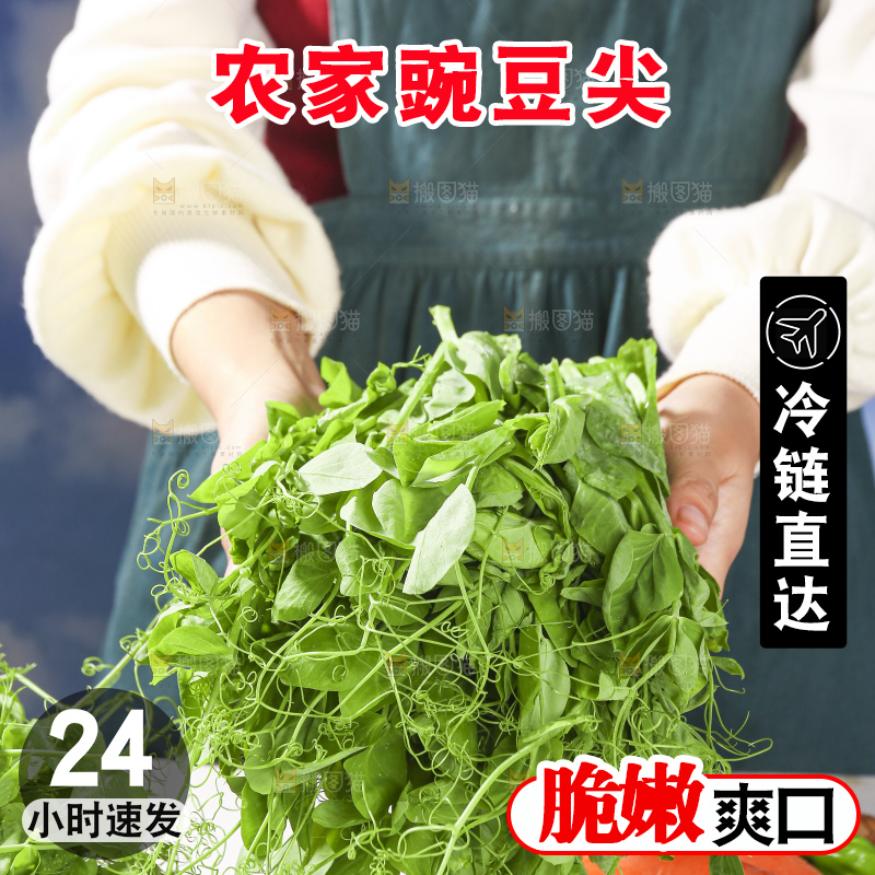 浅底上的豌豆尖