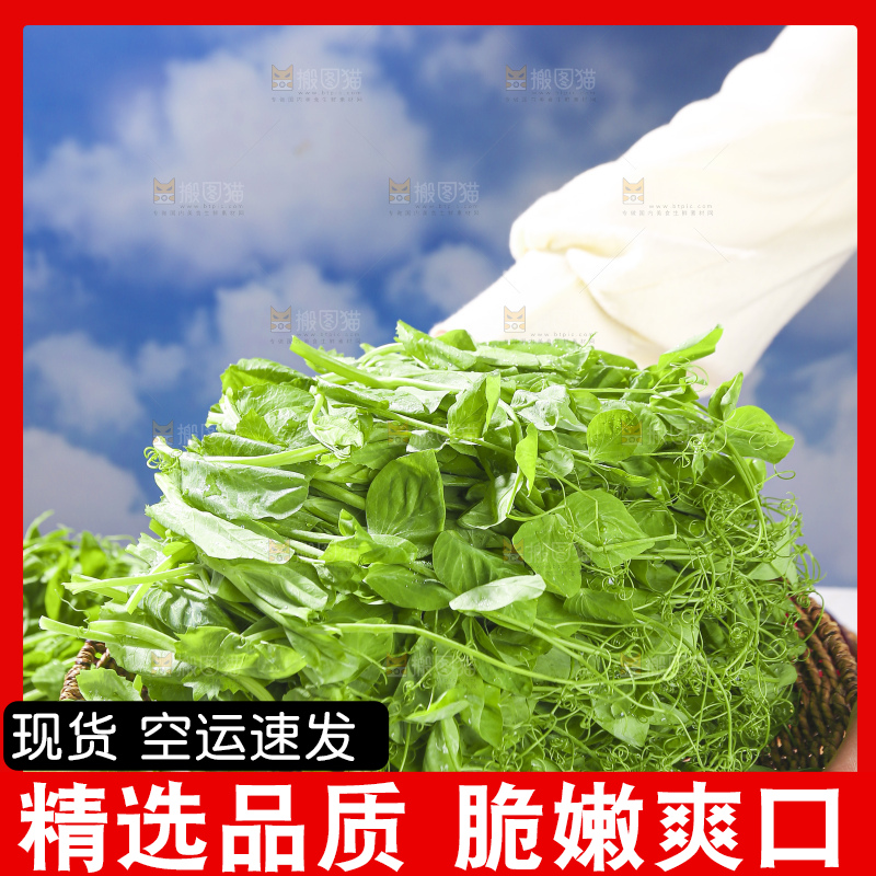 浅底上的豌豆尖