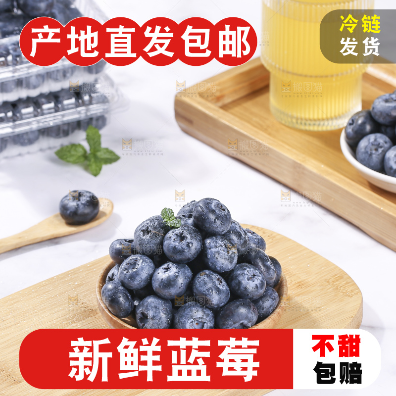 浅底上的新鲜蓝莓