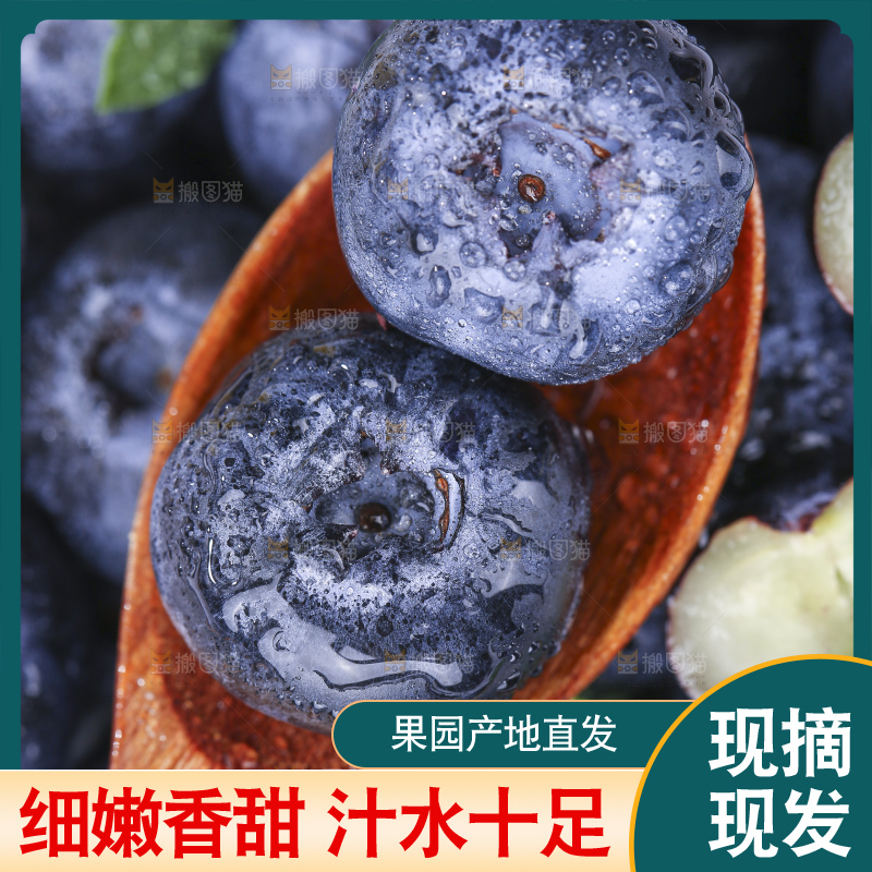 浅底上的新鲜蓝莓