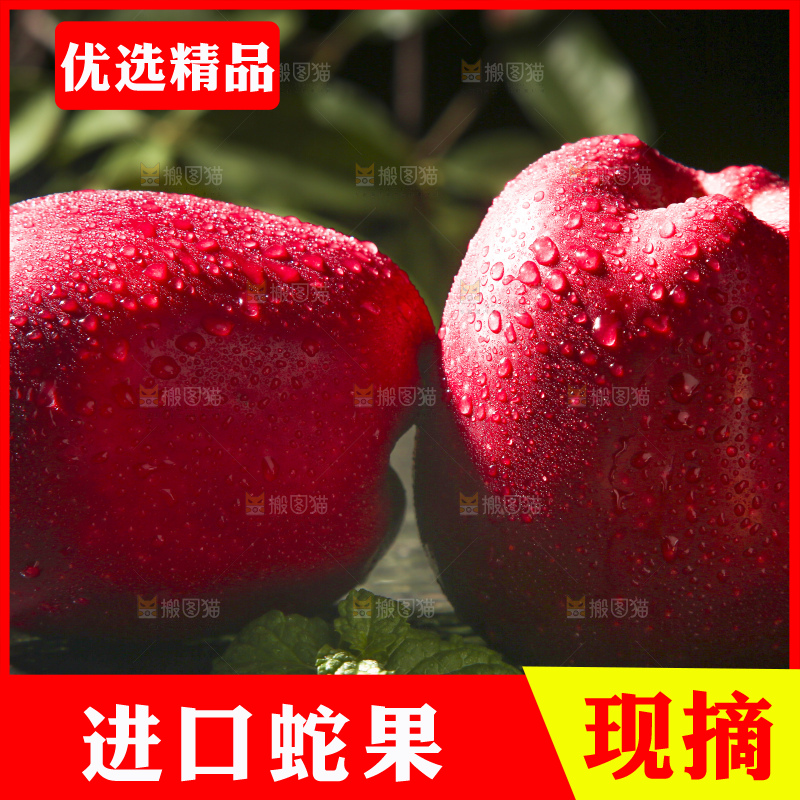 木底上的甘肃花牛苹果