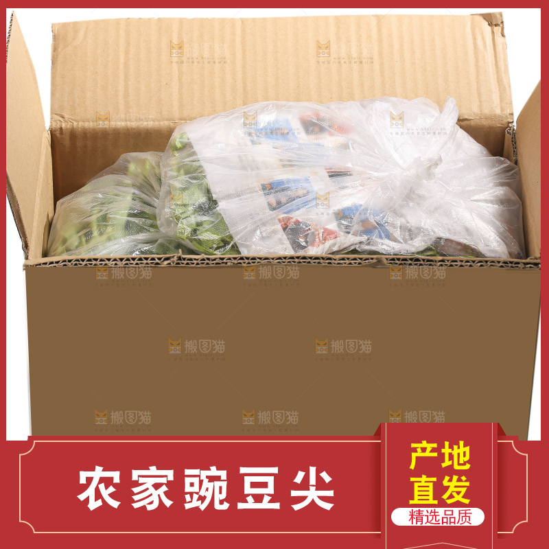 白底上的新鲜豌豆尖