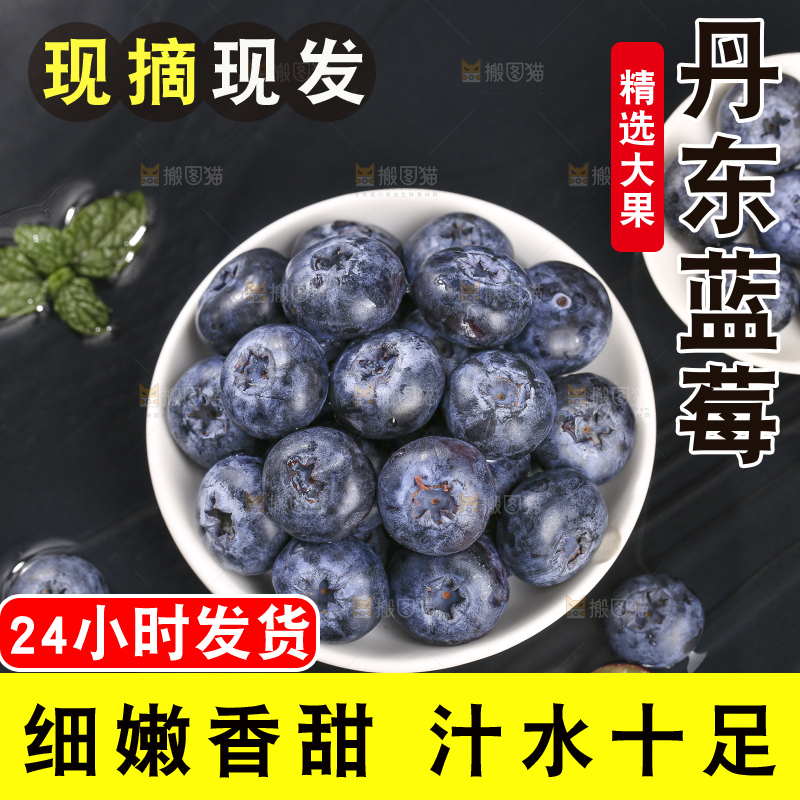 浅底上的新鲜蓝莓