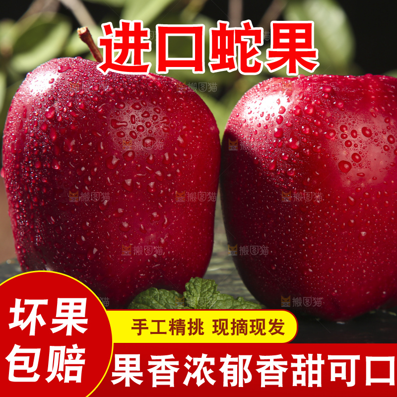 木底上的甘肃花牛苹果