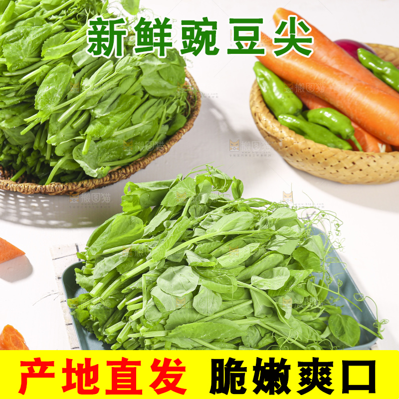 浅底上的豌豆尖