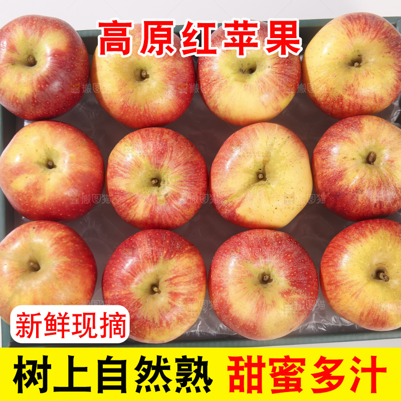 浅底上的高原红苹果